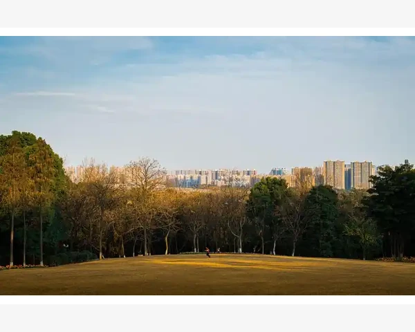 筋膜炎针灸：一般扎多少针？